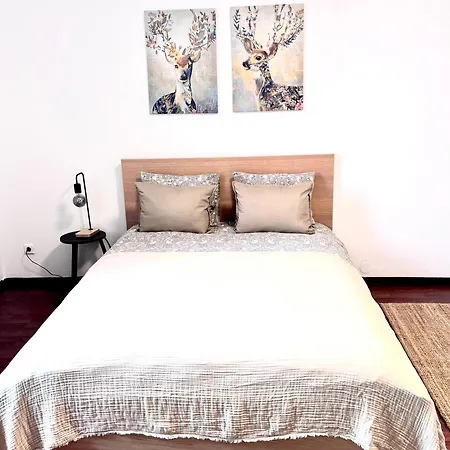 Franziskaner #8 Apartment