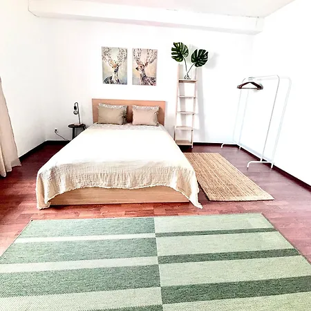 Franziskaner #8 Apartment Graz