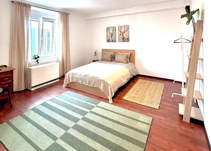 Franziskaner #8 Apartmán Štýrský Hradec