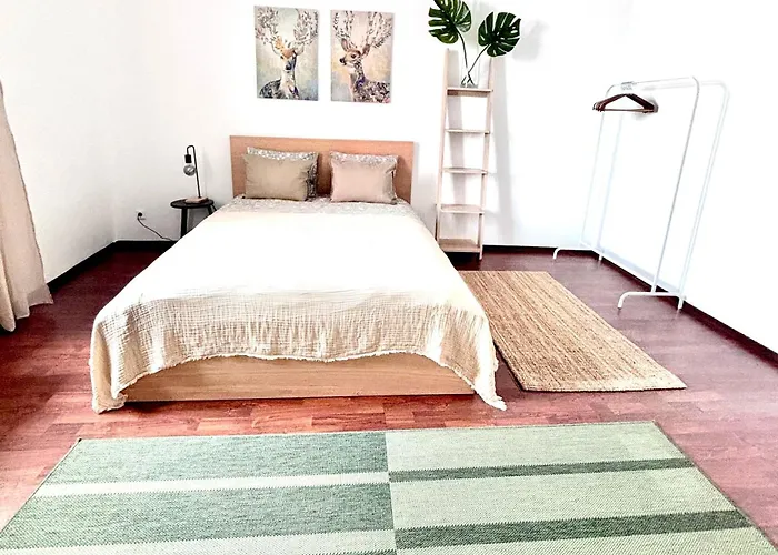 Franziskaner #8 Apartmán Štýrský Hradec